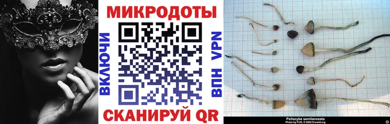 купить  цена  Озёрск  Псилоцибиновые грибы ЛСД 